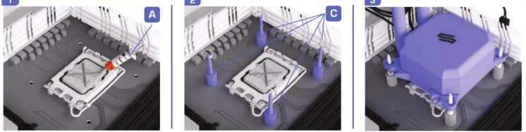 Three-panel technical illustration showing a microchip assembly with labeled components (A, C), no readable text or symbols present.