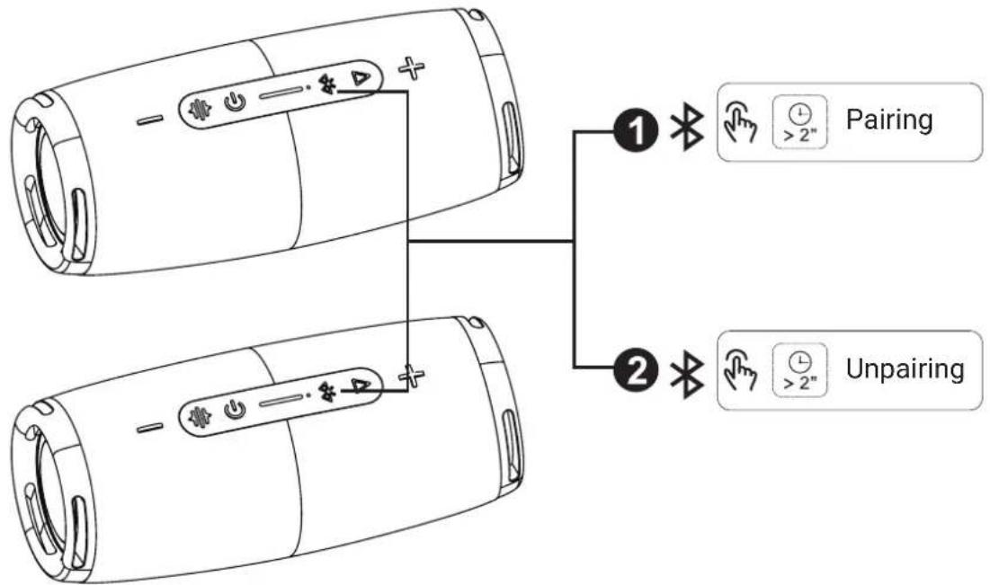 TESLA Sound BS70 - Pairing function of two devices using TWS function. - 1