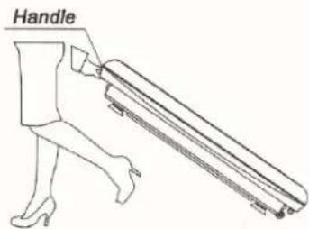 Handle