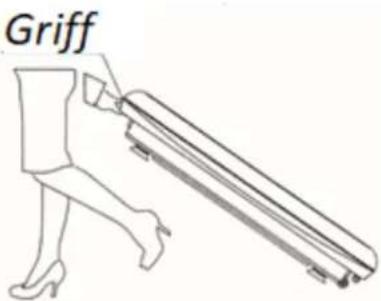 Griff