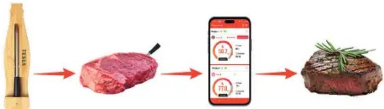 TESLA Cook BBQ200 - IT'S EASY - 1
