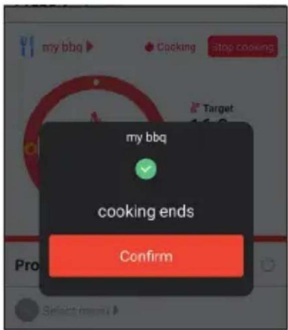 TESLA Cook BBQ200 - GUIDED COOK SYSTEM - 4