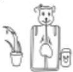 COSTWAY BA8085 - Safety Instructions - 3
