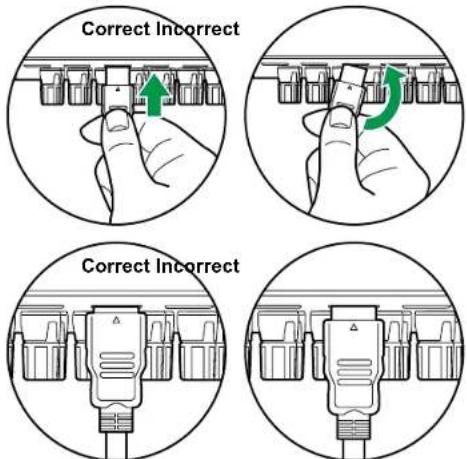 Correct Incorrect Correct Incorrect