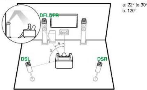 a: 22° to 30° b: 120° DFL DFR b DSL DSR