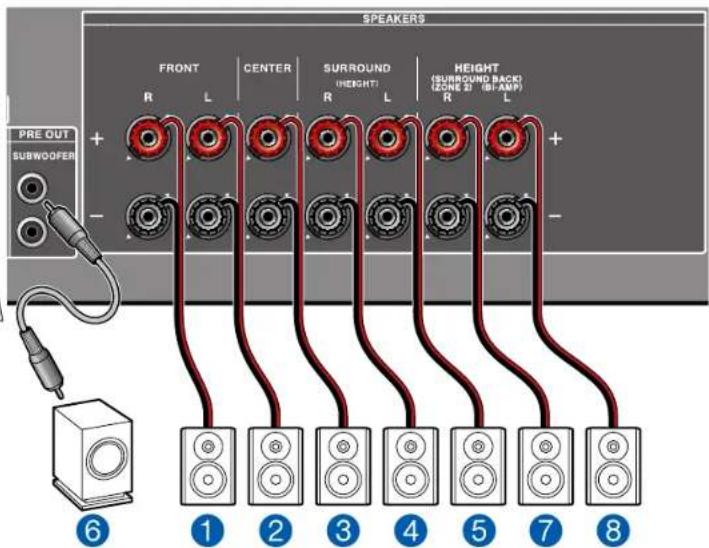 SPEAKERS FRONT CENTER SURROUND HEIGHT HEIGHT(SURROUND BACK) R L R L(R)L(ZONE 2" 01-AMP) PRE OUT SUBWOOFER + - 6 ① ② ③ ④ ⑤ ⑦ ⑧