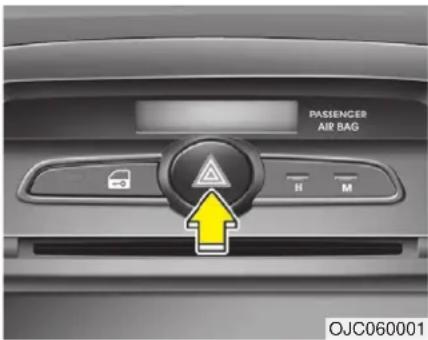 PASSENCER AIR BAG II M OJC060001