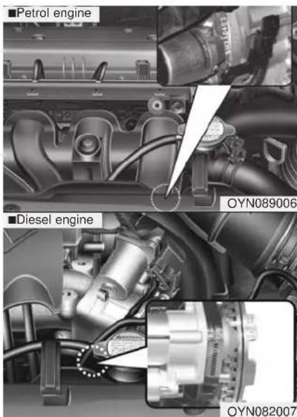 ■Petrol engine ■Diesel engine OYN089006 OYN082007