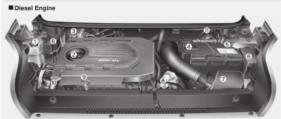 ■ Diesel Engine 1 2 3 4 5 6 7 8 9 10 CRDI KV 11
