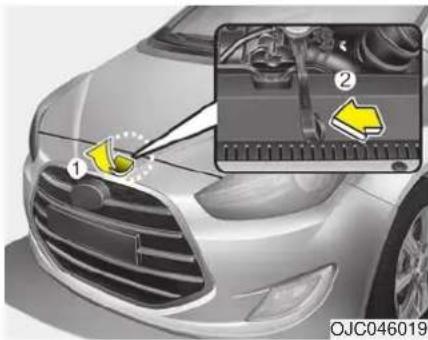 Diagram of a car's front grille with labeled parts and an inset showing engine components and a yellow arrow indicating a specific area.