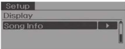 Setup Display Song Info
