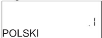 POLSKI