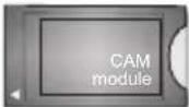 GoGen TVF43M340STWEB - (\*) Przycisk trybu oczekiwania - 14