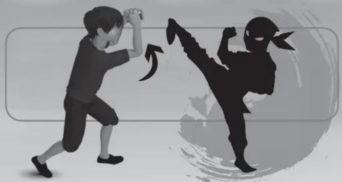 Sharper Image Shadow Fighter - DEFENDING AGAINST THE SHADOW - 1