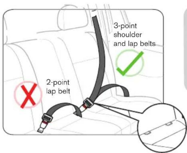 2-point lap belt 3-point shoulder and lap belts