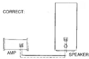 CORRECT: AMP SPEAKER