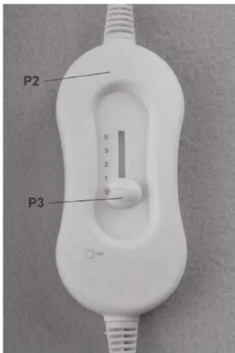P2 0 3 2 1 0 P3