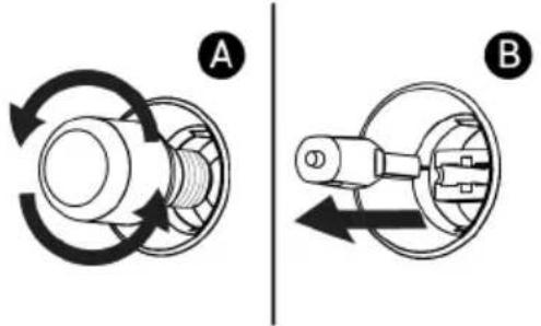A B
