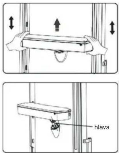 hlava