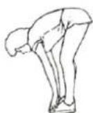 HMS Premium HP6513 - INNER THIGH STRETCH - 1