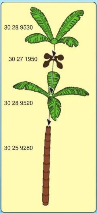 30 28 9530 30 27 1950 30 28 9520 30 25 9280