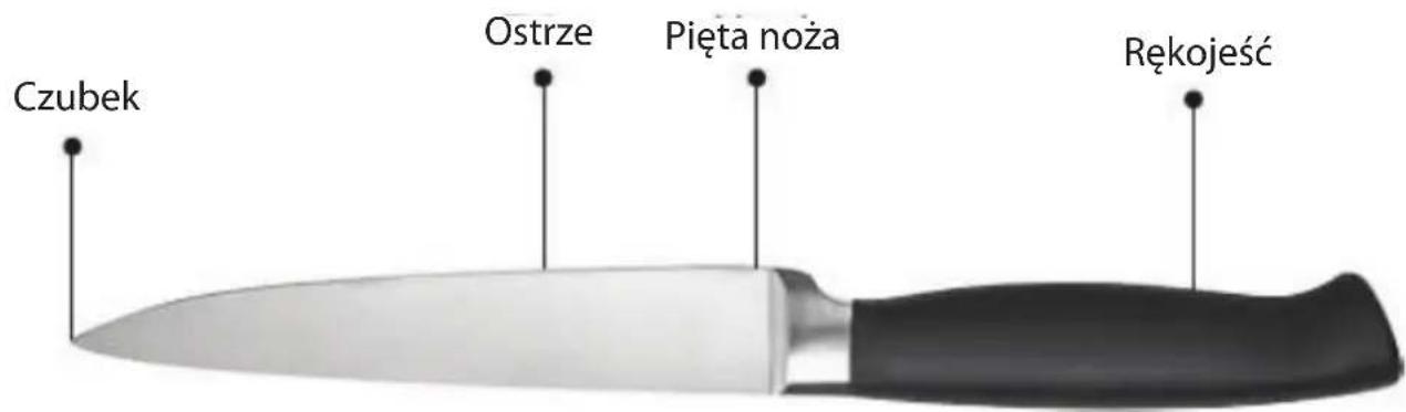 Czubek Ostrze Pięta noża Rękojeść