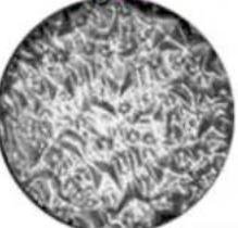 GLP impression Spot One - Changing rotating gobos - 14