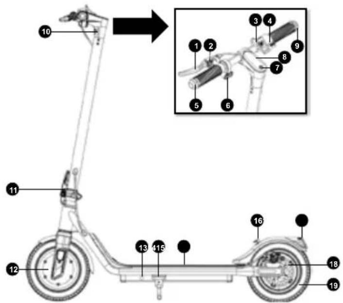SENCOR Scooter S21 - Popis koloběžky SCOOTER S21/S25 - 1
