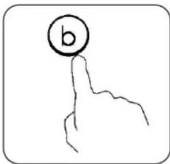 b