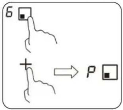 6 + P