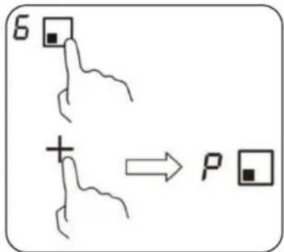 6 + P