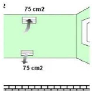 75 cm2 75 cm2