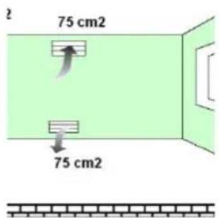 75 cm2 75 cm2