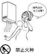 PHILIPS AquaShield AWH5529 - 燃气安全注意事项 - 3