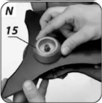 N 15