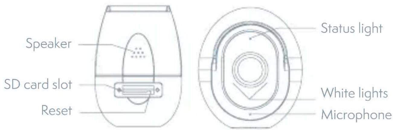Speaker SD card slot Reset Status light White lights Microphone