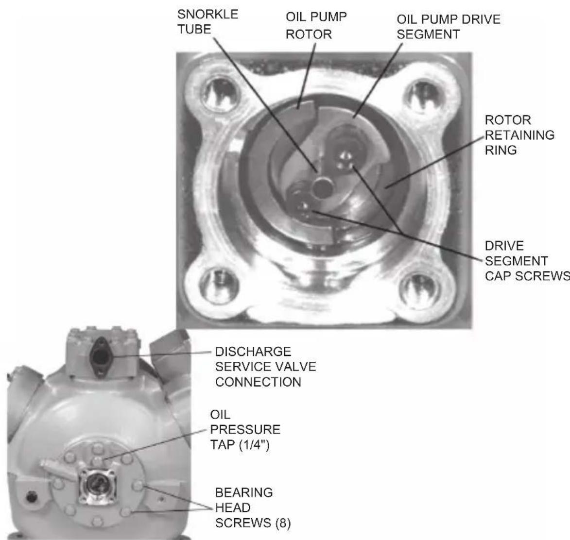 SNORKLE TUBE OIL PUMP ROTOR OIL PUMP DRIVE SEGMENT ROTOR RETAINING RING DRIVE SEGMENT CAP SCREWS DISCHARGE SERVICE VALVE CONNECTION OIL PRESSURE TAP (1/4") BEARING HEAD SCREWS (8)