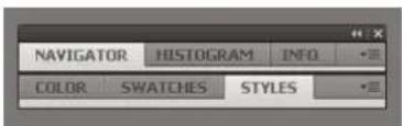 NAVIGATOR HISTOGRAM INFO COLOR SWATCHES STYLES