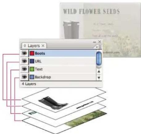 WILD FLOWER SEEDS Layers × Boots URL Text Backdrop 4 Layers