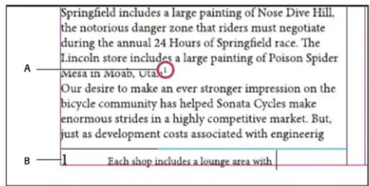 Springfield includes a large painting of Nose Dive Hill, the notorious danger zone that riders must negotiate during the annual 24 Hours of Springfield race. The Lincoln store includes a large painting of Poison Spider Mesa in Moab, Utai. Our desire to make an ever stronger impression on the bicycle community has helped Sonata Cycles make enormous strides in a highly competitive market. But, just as development costs associated with engineerig Each shop includes a lounge area with