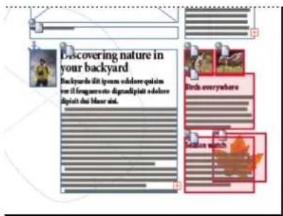 Discovering nature in your backyard Backyards dit ipsum eolore quisim por il longueroate dignitiat eolore spirti the lissur iut. Birds everywhere Cotton watch