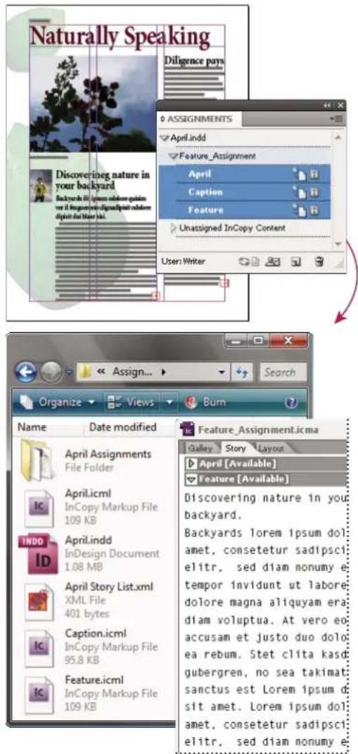 Naturally Speaking Diligence pays ASSIGNMENTS April.indd Feature_Assignment April Caption Feature Unassigned InCopy Content User: Writer Search Organize Views Burn Name Date modified April Assignments File Folder April.icml InCopy Markup File 109 KB April.indd InDesign Document 1.08 MB April Story List.xml XML File 401 bytes Caption.icml InCopy Markup File 95.8 KB Feature.icml InCopy Markup File 109 KB Feature_Assignment.icma Galley Story Layout April [Available] Feature [Available] Discovering nature in you backyard. Backyards lorem ipsum dolamet, consetetur sadipsci elitr, sed diam nonumy e tempor invidunt ut labore dolore magna aliquyam era diam voluptua. At vero eo accusam et justo duo dolo ea rebum. Stet clita kasd gubergren, no sea takimat sanctus est Lorem ipsum sit amet. Lorem ipsum dolamet, consetetur sadipsci elitr, sed diam nonumy e
