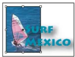 SURF MEXICO