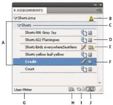 ASSIGNMENTS Shorts Jcma Shorts Shorts-006 Gray Jay Shorts-022 Flamingoes Shorts-Birds everywhereSeattleno Shorts-yellow leaf-yellow Credit Count User: Writer G H I J A B C D E F
