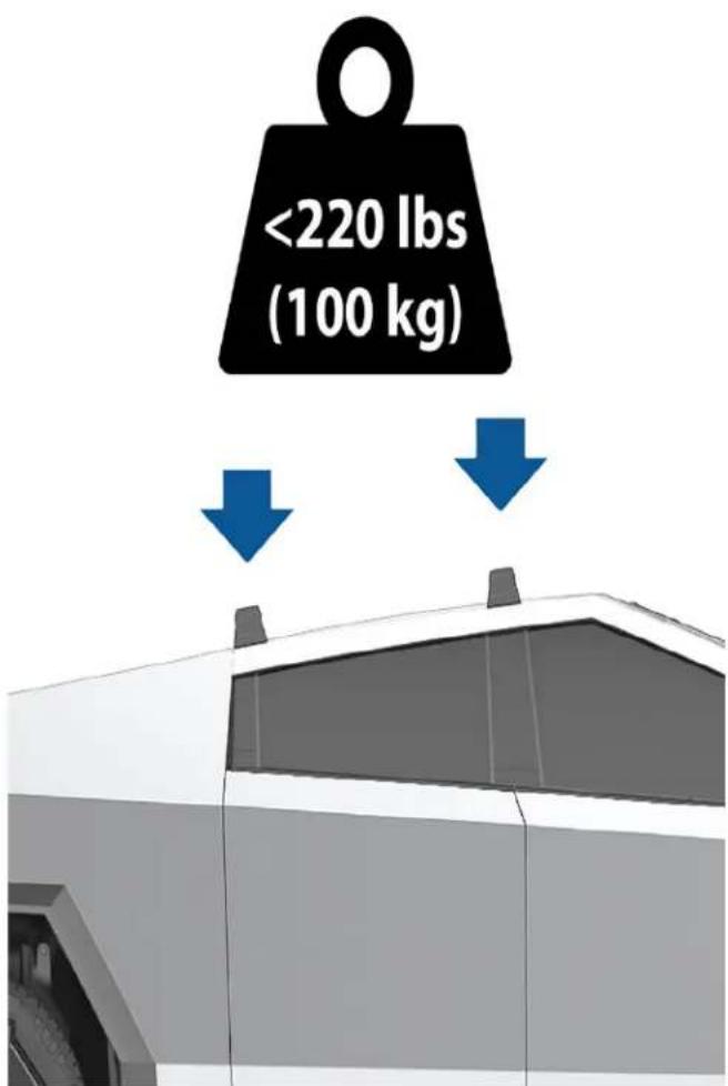 <220 lbs (100 kg)