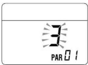 3 PAR 01