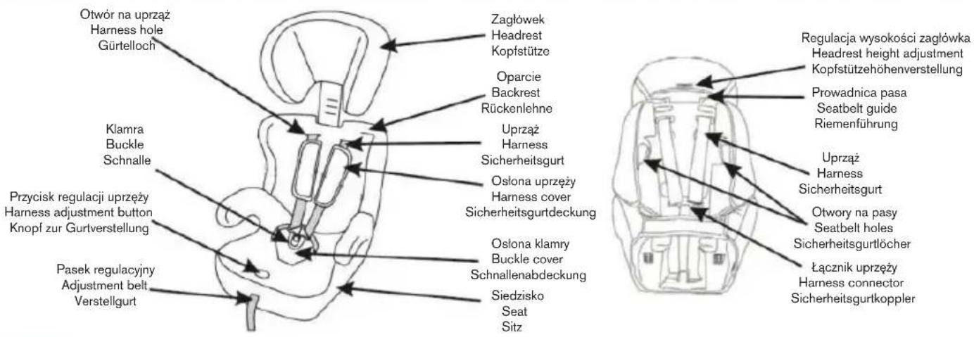 Caretero Falcon i-Size - PL GŁÓWNE KOMPONENTY / EN MAIN COMPONENTS DE HAUPTKOMPONENTEN - 1