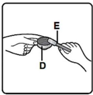 E D