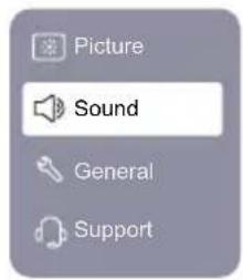 ACER RS272W - Sound (Zvuk) - 1