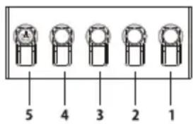 5 4 3 2 1